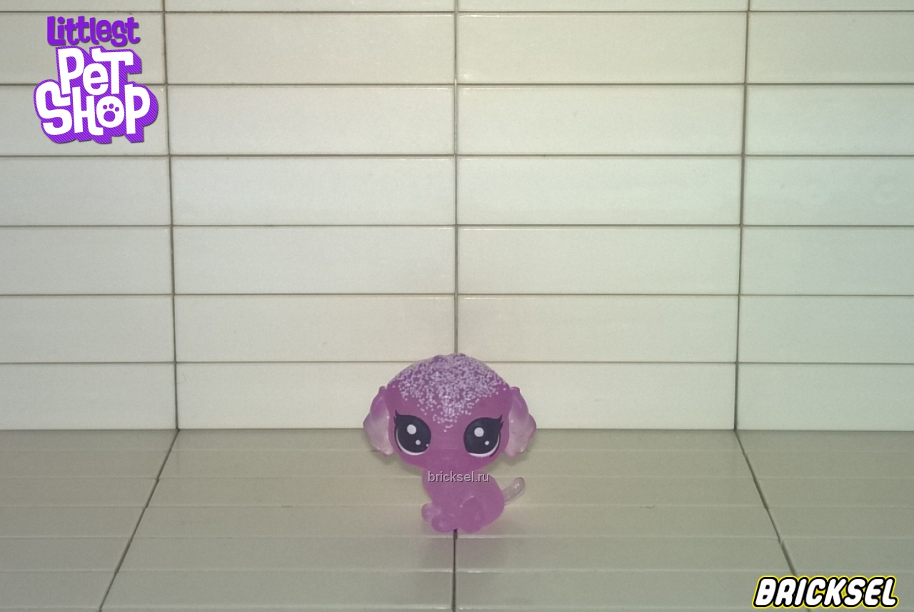 Hasbro Фигурка собака Пудель, малыш прозрачно-фиолетовый, hasbro