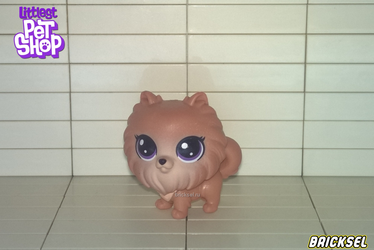 Hasbro Фигурка собака Шпиц, Милый Помпон (Cute Pompom) средний светло-коричневый, hasbro